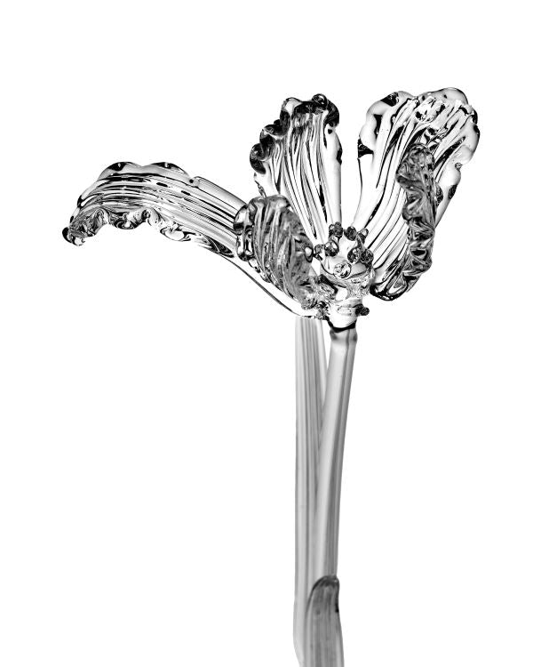 Serax Glasblume Tulpe transparent Josephine von Kris Van Assche L40cm