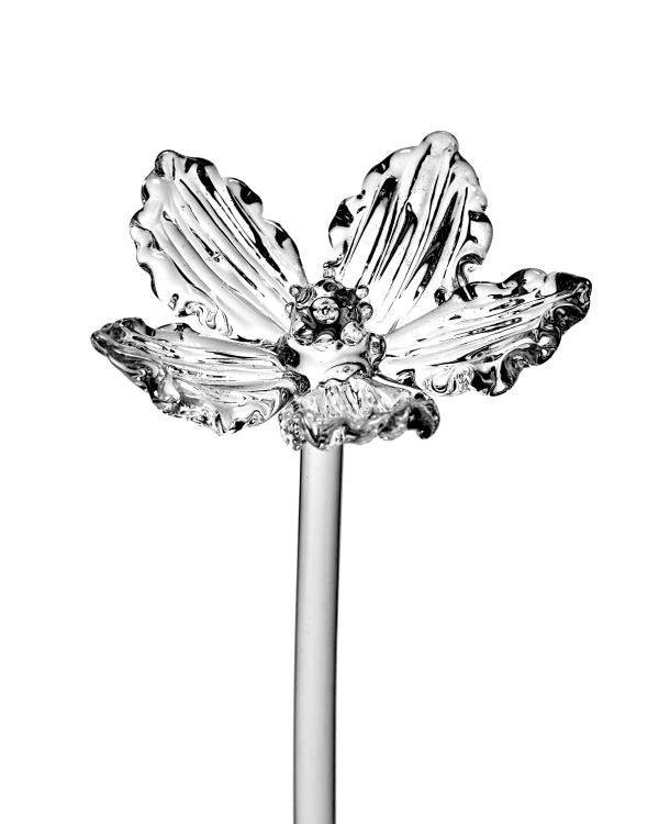 Serax Glasblume 02 Josephine Mohnblume von Kris Van Assche L40cm