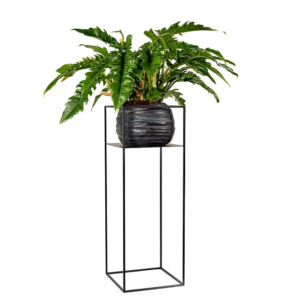 Serax Blumenständer Pflanzenregal Rack Display schwarz von Morris Marigo H90cm