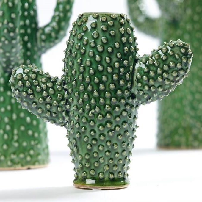 vase-kaktus